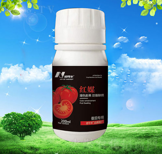 紅媒番茄專用-諾可豐