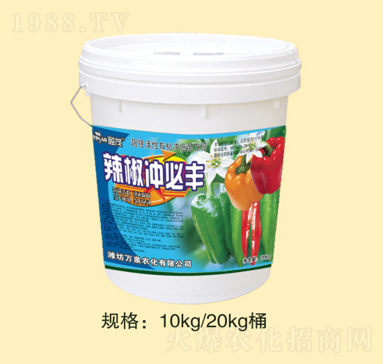 �����_���S-�fȪ�r��