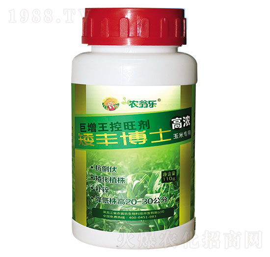 矮豐博士-農(nóng)翁樂