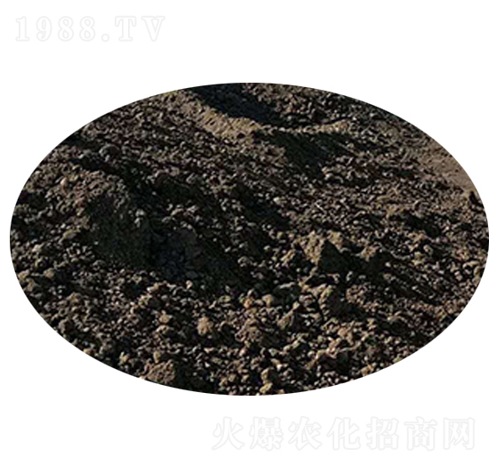 木薯淀粉渣-沃力生物