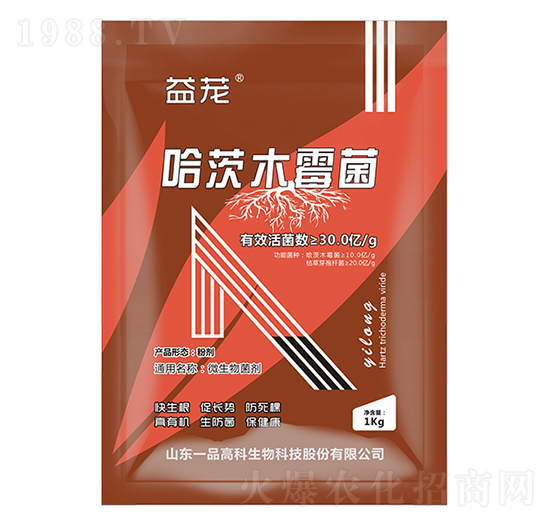 ����ľù��-����-���r(n��ng)˼�_(d��)