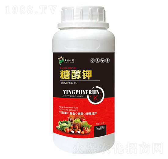 �Ǵ��-Ӣ���~��