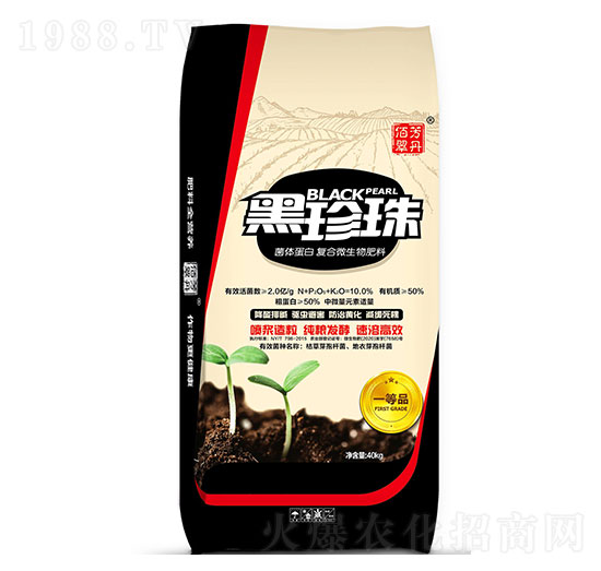 菌體蛋白復合微生物肥料-黑珍珠-佰潤肥業(yè)