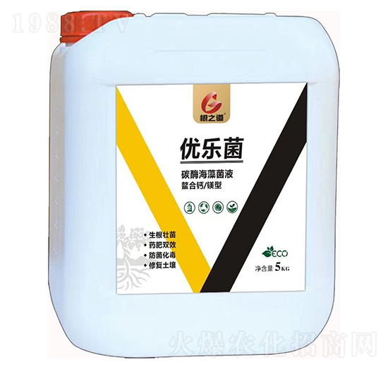 優(yōu)樂(lè)菌-根之道