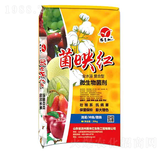 全水溶復(fù)合型微生物菌劑-菌映紅-雁來紅