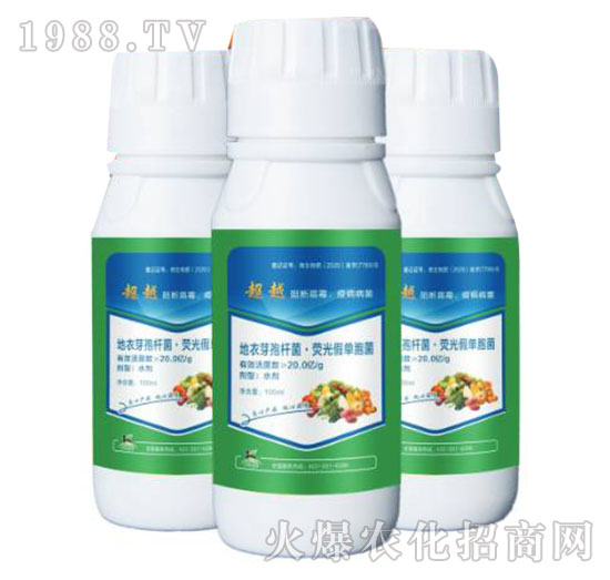 地衣芽孢桿菌·熒光假單胞菌-超越-柯易植保