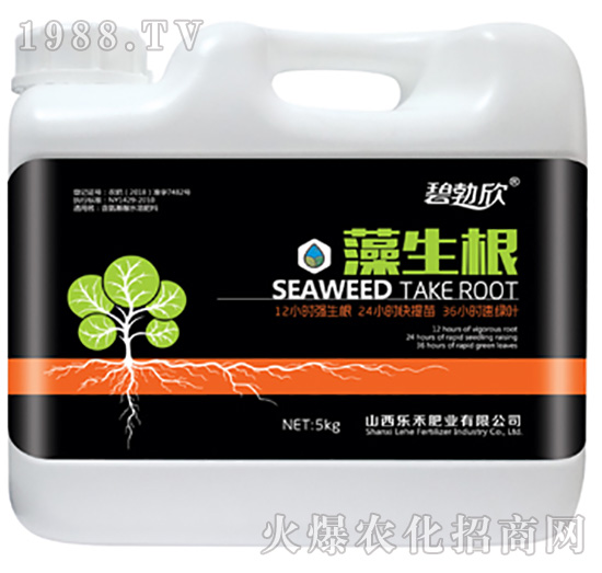 藻生根-樂(lè)禾