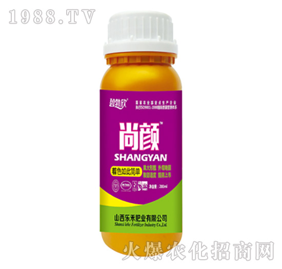 尚顏著色如此簡單-樂禾