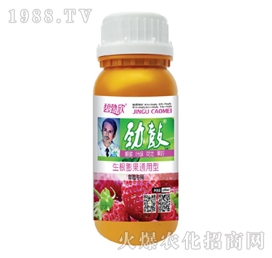 勁鼓草莓專用-樂(lè)禾