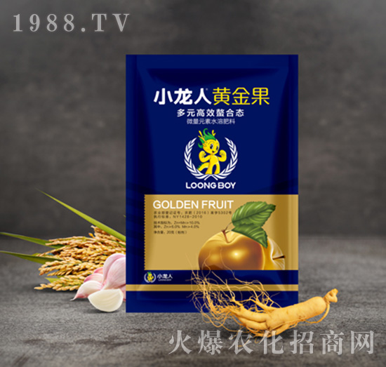 小龍人黃金果-小龍人