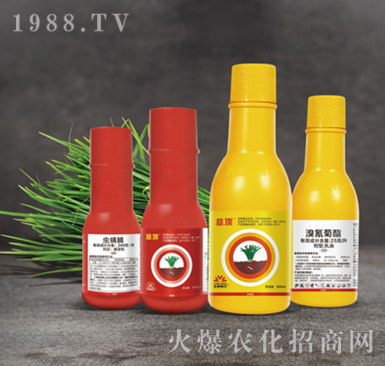 240克每升蟲螨腈+25克每升溴氰菊酯-蔥姜蒜專用-韭頂-小龍人