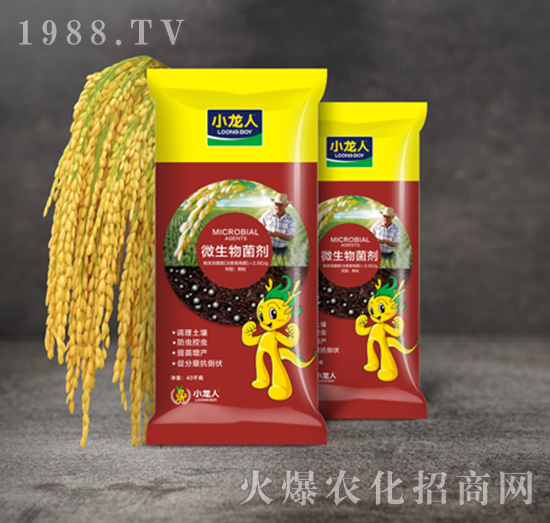 水稻殺蟲(chóng)藥肥（底肥）-微生物菌劑-小龍人