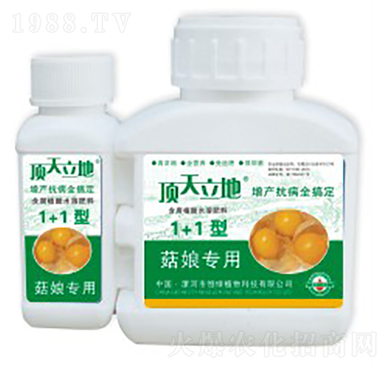 菇娘專用含腐植酸水溶肥料（1+1型）-頂天立地-恒綠植物