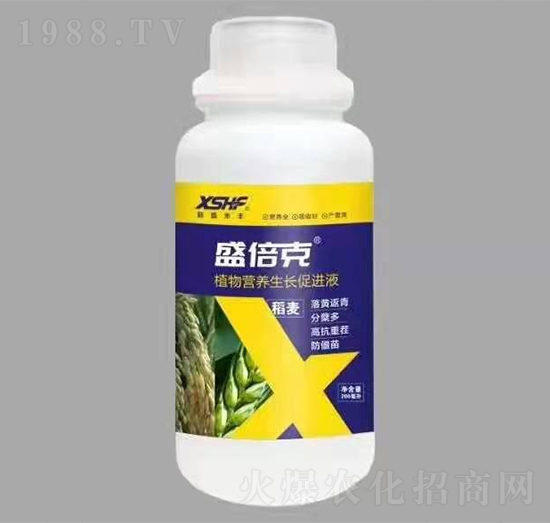稻麥專用植物營養(yǎng)生長促進液-盛倍克-新盛禾豐