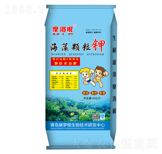 �����w���-Ħ���-���A����