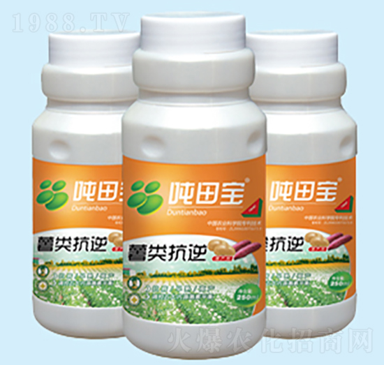 薯類(lèi)抗逆專(zhuān)用型-噸田寶-禾田豐澤