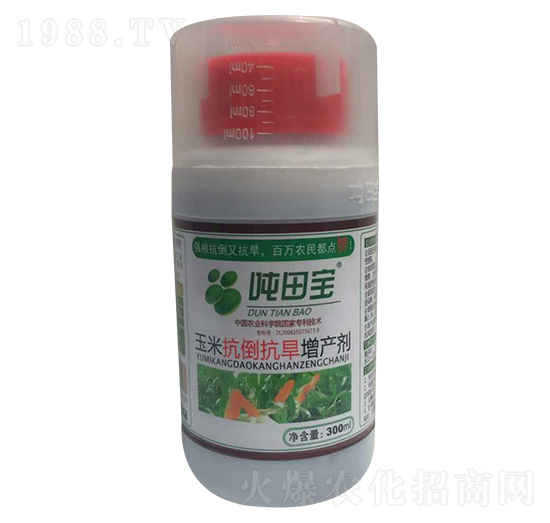 玉米抗倒抗旱增產(chǎn)劑-噸田寶-禾田豐澤