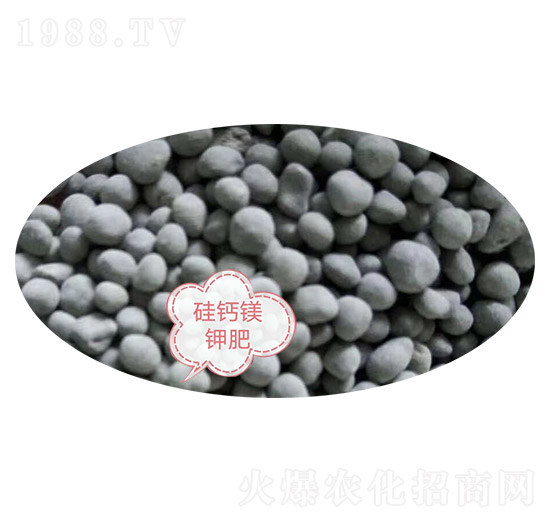 ���}�V⛷�-�Z�M(m��n)�}(c��ng)