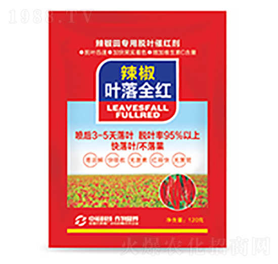 辣椒葉落全紅-中?？萍? style=