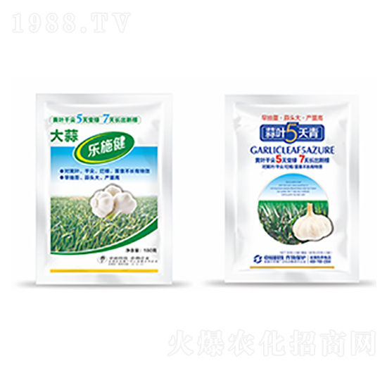 大蒜樂施健+蒜葉5天青-中?？萍? style=