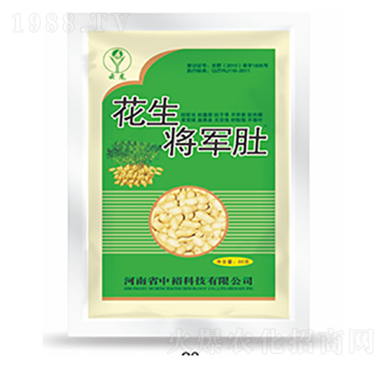 ������܊��-�����Ƽ�