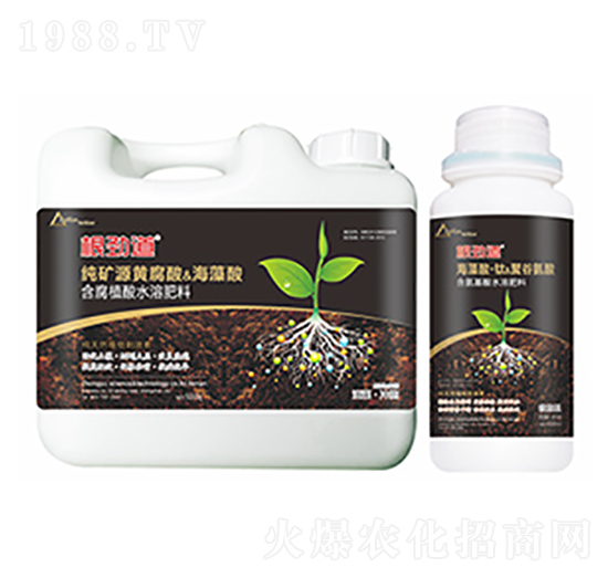 ���ŵ�-�����Ƽ�