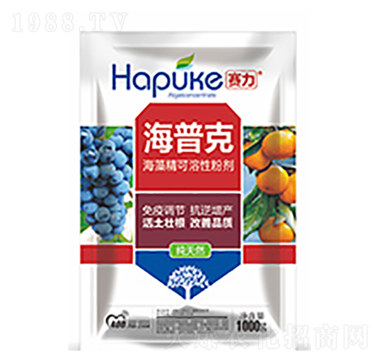 ِ�����տ�-�����Ƽ�