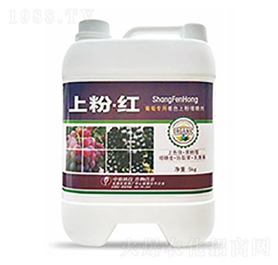 �Ϸۡ��t-�����Ƽ�