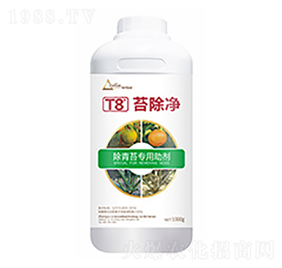 ̦����T8-�����Ƽ�