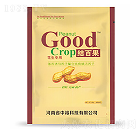 �Y(ji��)�ٹ�-�����Ƽ�