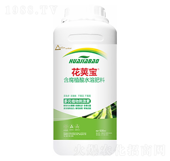 �󶹻�Ӣ��-�����Ƽ�