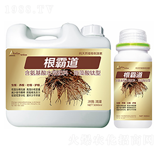 ���Ե�-�����Ƽ�