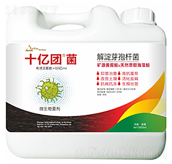 解淀芽孢桿菌-十億團(tuán)菌-中?？萍? style=