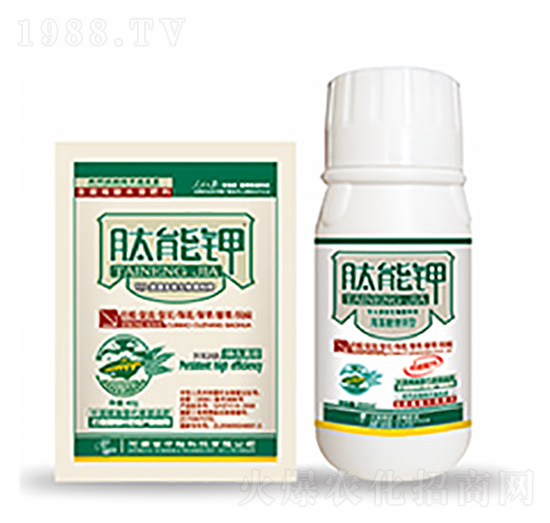 �����-��ԣ�Ƽ�