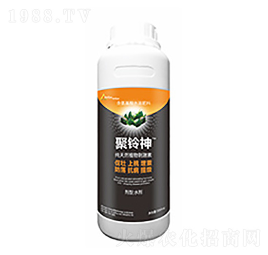 �����-�����Ƽ�