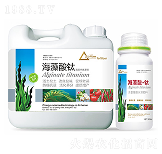 �������-�����Ƽ�