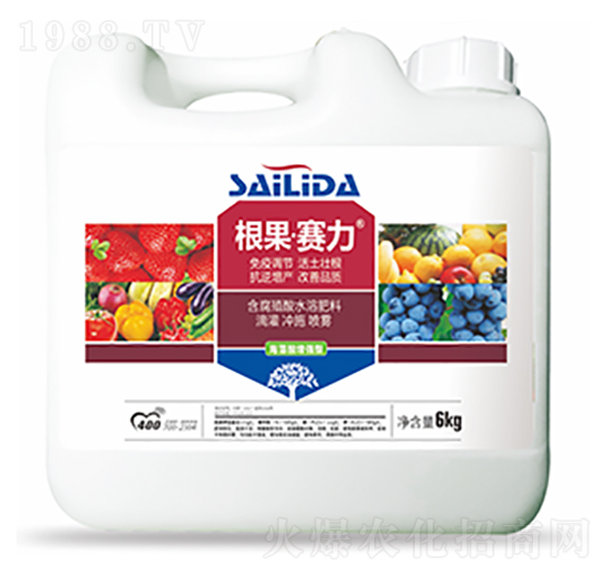 根果賽力-中?？萍? style=