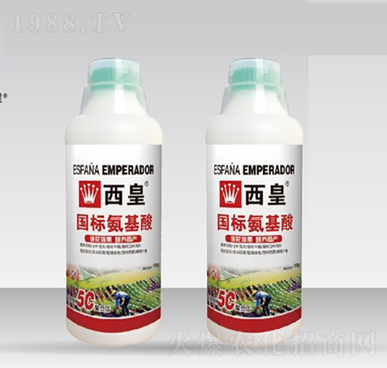 ��(gu��)��(bi��o)������-����-����˹�D