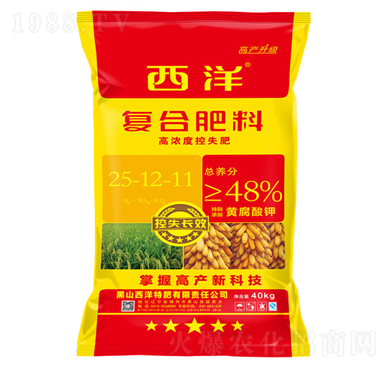 �ͺϷ���25-12-11-����ʘI(y��)