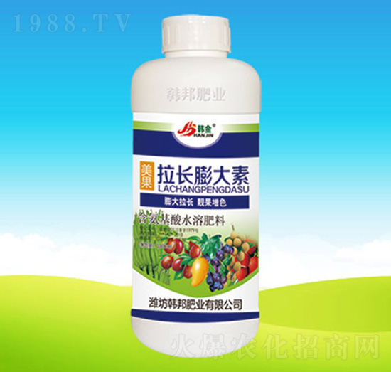 �������L�����-�n��ʘI(y��)