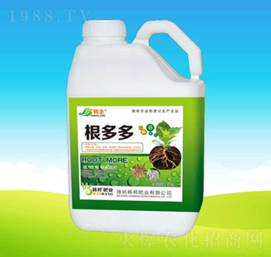 �����-�n��ʘI(y��)