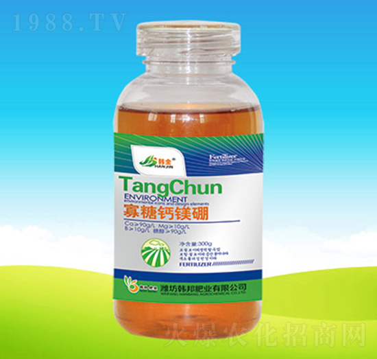 �����}�V��ƿ��-�n��ʘI(y��)