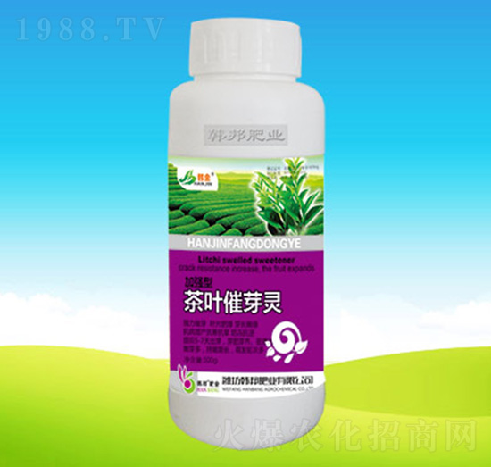 ���~��ѿ�`-�n��ʘI(y��)