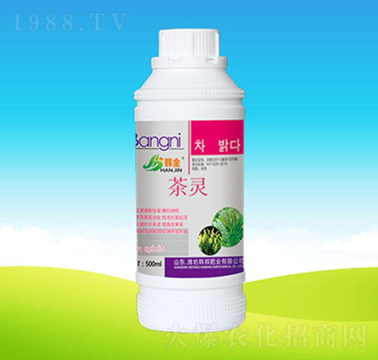 ���`-�n��ʘI(y��)