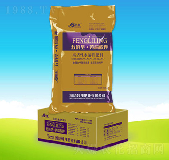 ���������S����⛣��У�-�n��ʘI(y��)-