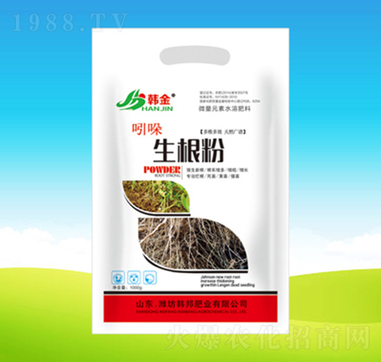 ������-�n��ʘI(y��)