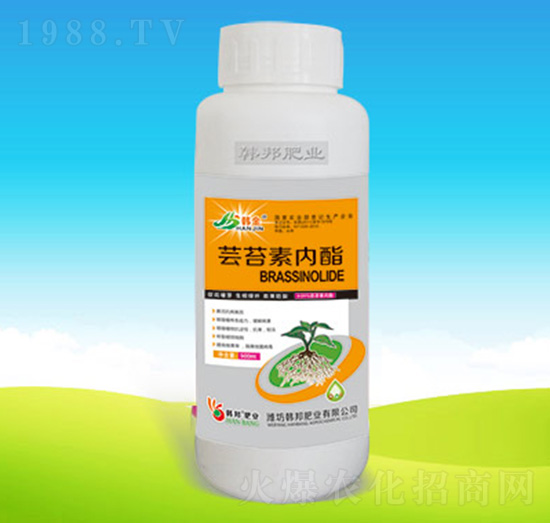 蕓苔素內(nèi)酯（500g）-韓邦肥業(yè)