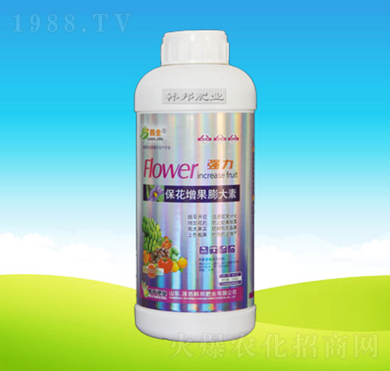 �������������-�n��ʘI(y��)