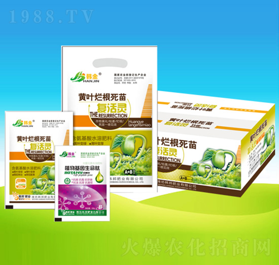 �S�~��������ͻ��`-�n��ʘI(y��)