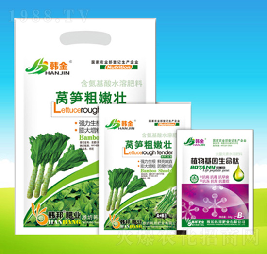 �n�S���ۉ�-�n��ʘI(y��)